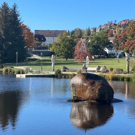 Annis Panoramablick Pool Sauna Tennis * Schonach im Schwarzwald