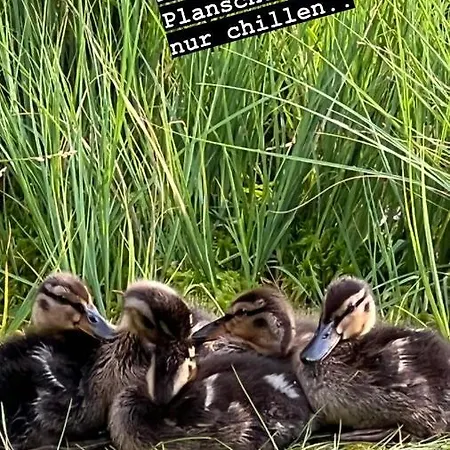 Annis Panoramablick Pool Sauna Tennis Lägenhet