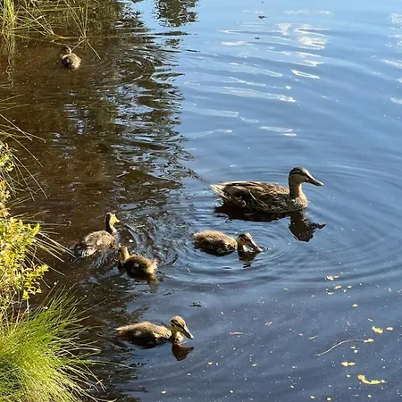 Annis Panoramablick Pool Sauna Tennis Lägenhet