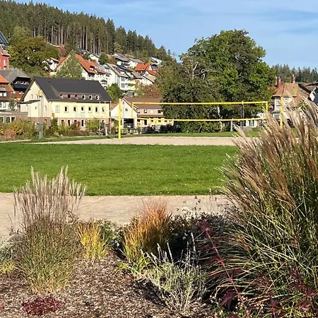 Annis Panoramablick Pool Sauna Tennis Schonach im Schwarzwald