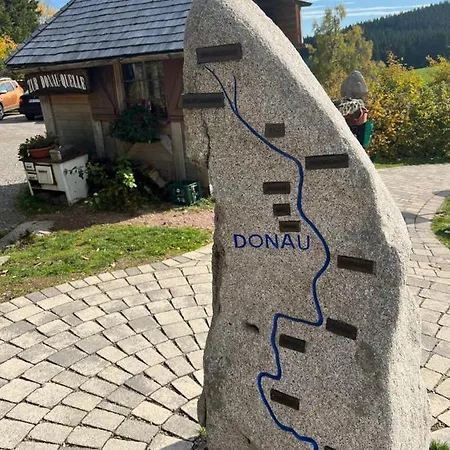Annis Panoramablick Pool Sauna Tennis Schonach im Schwarzwald
