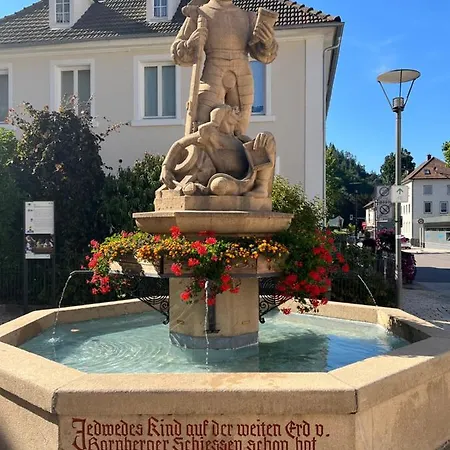 Annis Panoramablick Pool Sauna Tennis Lägenhet Schonach im Schwarzwald