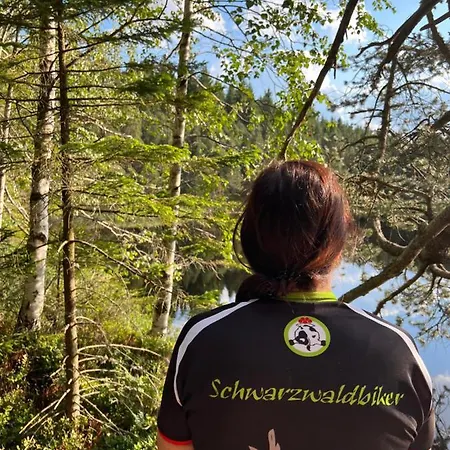 Annis Panoramablick Pool Sauna Tennis